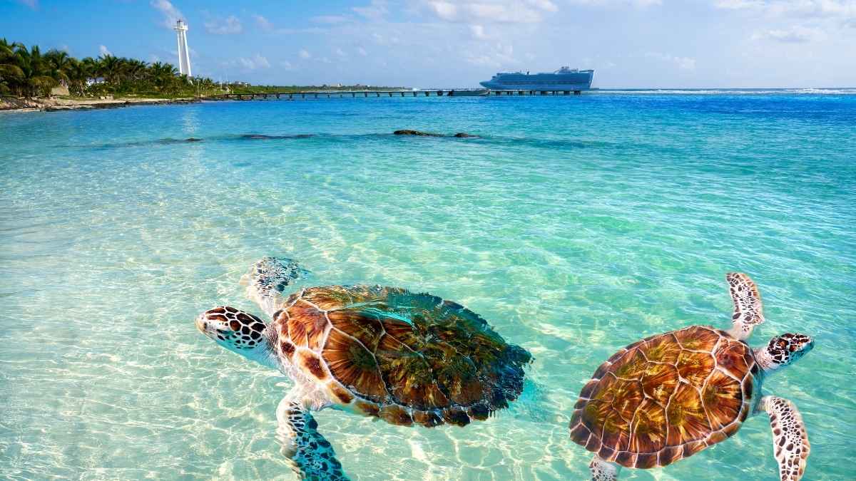 Caribe - Playas de aguas turquesas